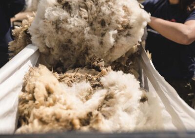 Woolkeepers, wool, sustainable cushions